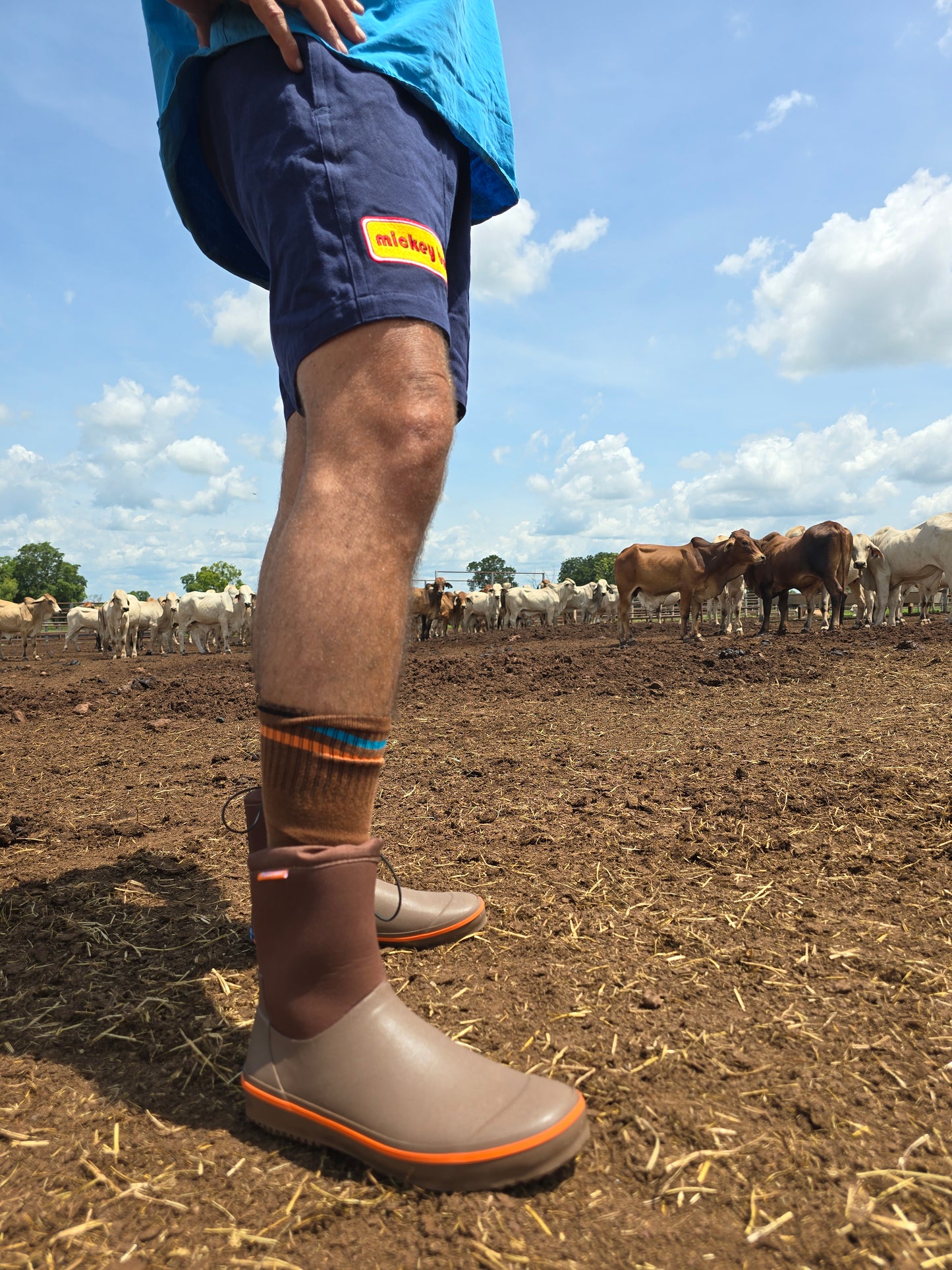 Mickey Bull Mudcrabz Wet Shoes