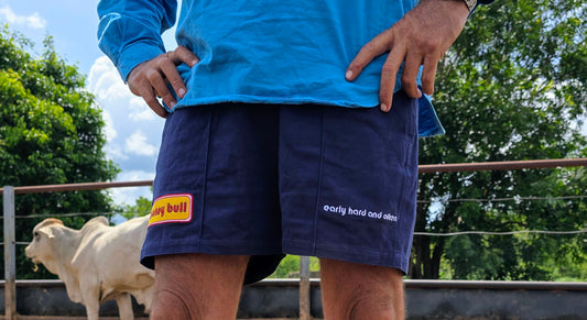 Mickey Bull Rugby Shorts